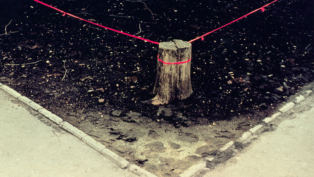 Євгеній Павлов, Із серії «Орвохром»